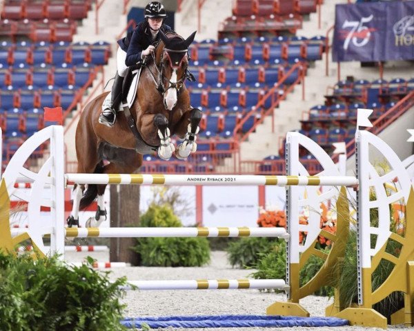 jumper G CT Super Sonic (KWPN (Royal Dutch Sporthorse), 2011, from Zambesi TN)