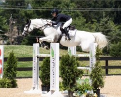 broodmare Miss Lucy Hh (Luxembourg horse, 2009, from Mr Blue)