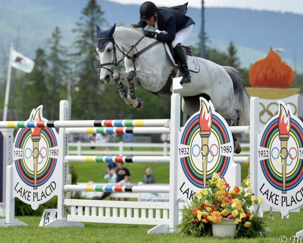 Cavallo da salto Chiara Blue Diamond (Oldenburger Cavallo da salto, 2007, di Chacco-Blue)