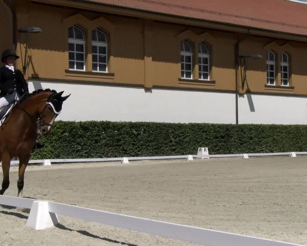Reitturnier Avenches 2023