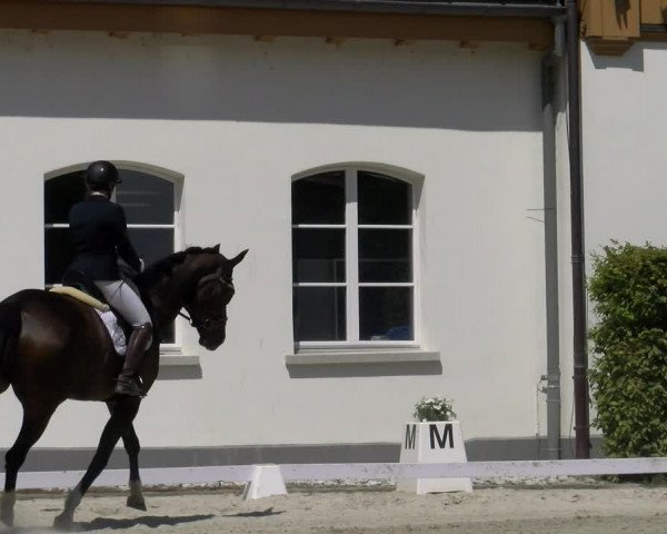 Reitturnier Avenches 2023