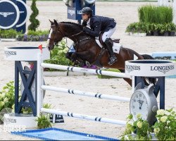 jumper Jesther (KWPN (Royal Dutch Sporthorse), 2014, from VDL Cardento 933)