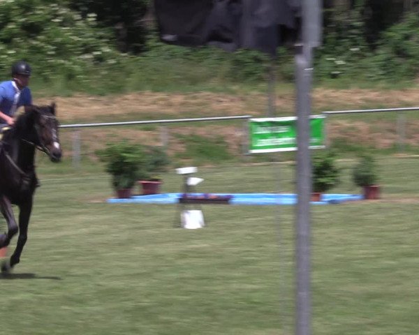 Reitturnier Löbnitz 2023