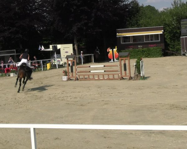 Reitturnier Fröndenberg 2023