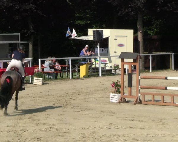 Reitturnier Fröndenberg 2023