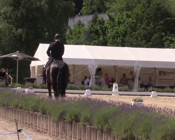 Reitturnier Lindlar - Reitanlage Dückers 2023