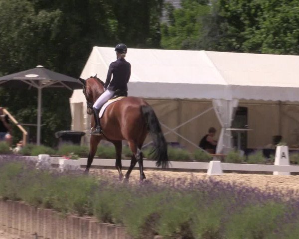 Reitturnier Lindlar - Reitanlage Dückers 2023