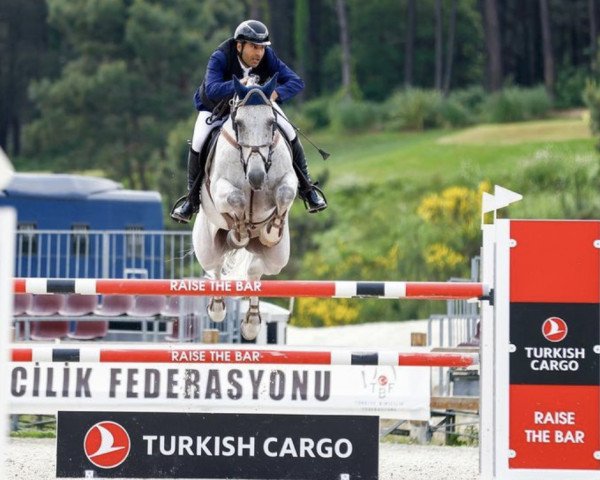 jumper Jodari (KWPN (Royal Dutch Sporthorse), 2014, from Cartano)