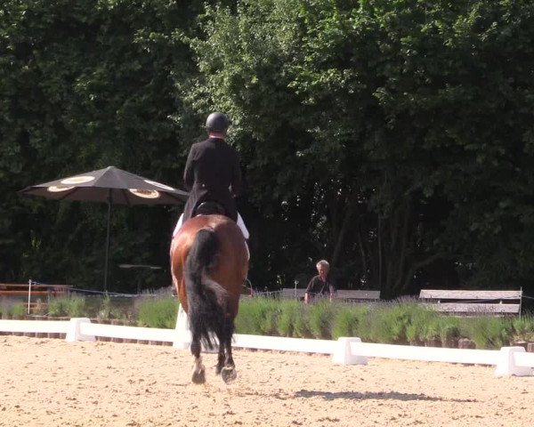 Reitturnier Lindlar - Reitanlage Dückers 2023