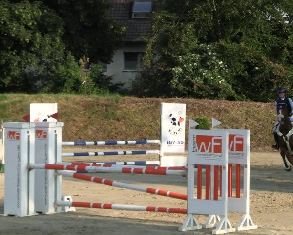 Reitturnier Fröndenberg 2023