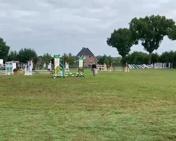 Video of Catero 4
