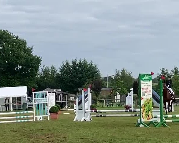 Video of Catero 4