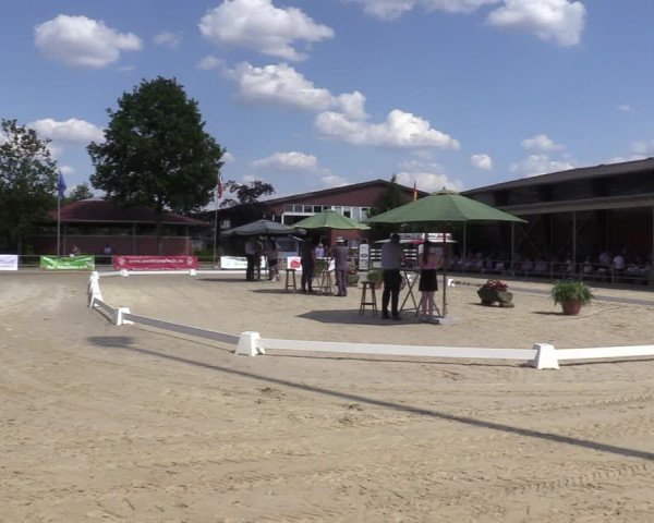 Sichtung zum Horse24-Fohlenchampionat 2023 in Münster-Albachten