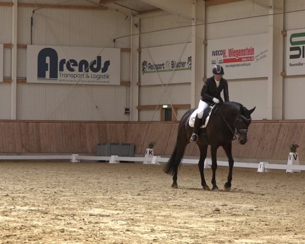 Reitturnier Ochtrup 2023