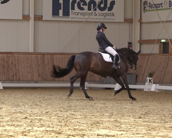 Reitturnier Ochtrup 2023
