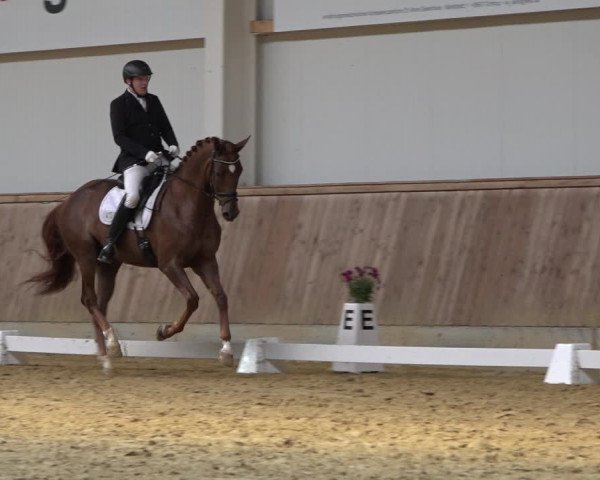 Reitturnier Ochtrup 2023