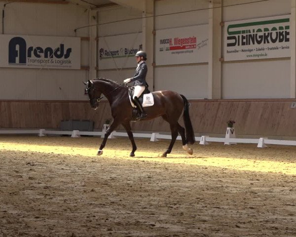 Reitturnier Ochtrup 2023