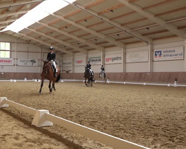 Reitturnier Ochtrup 2023