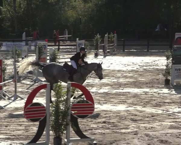 Reitturnier Ochtrup 2023