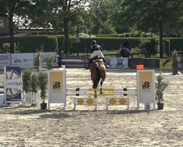 Reitturnier Ochtrup 2023