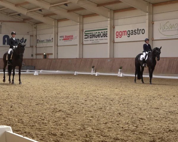 Reitturnier Ochtrup 2023
