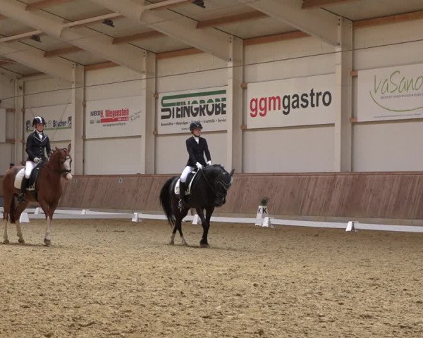 Reitturnier Ochtrup 2023