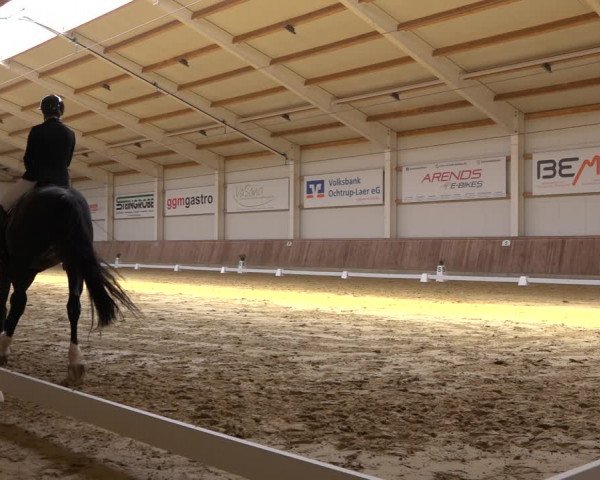 Reitturnier Ochtrup 2023