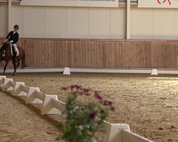 Reitturnier Ochtrup 2023