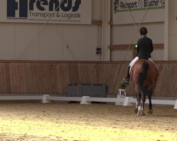 Reitturnier Ochtrup 2023