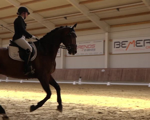 Reitturnier Ochtrup 2023