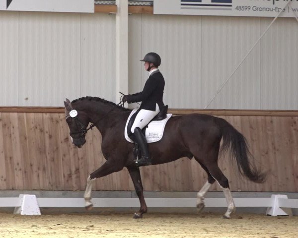 Reitturnier Ochtrup 2023