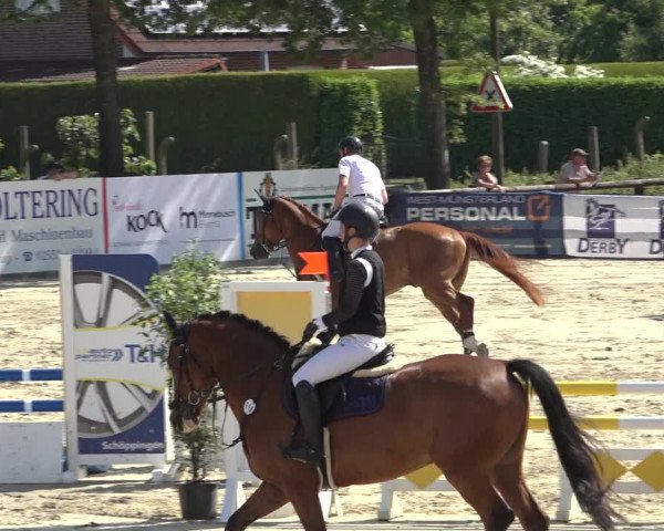 Reitturnier Ochtrup 2023