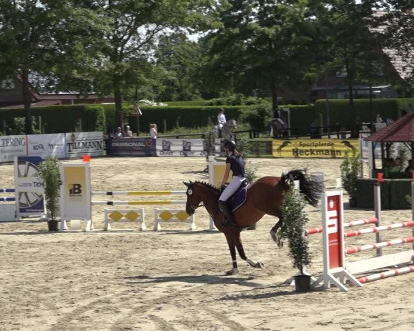 Reitturnier Ochtrup 2023
