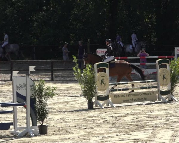 Reitturnier Ochtrup 2023