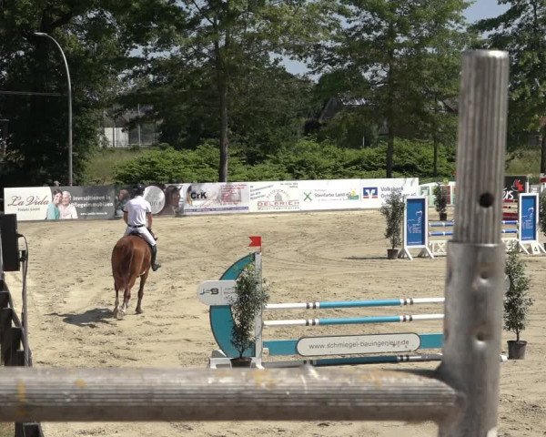 Reitturnier Ochtrup 2023