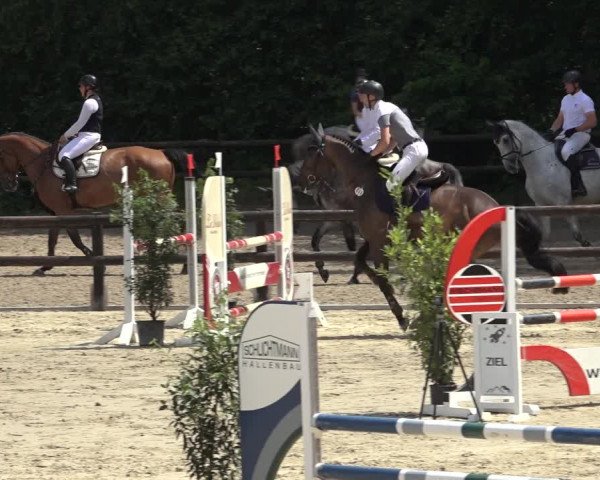 Reitturnier Ochtrup 2023