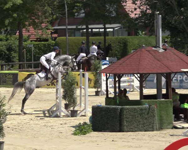 Reitturnier Ochtrup 2023