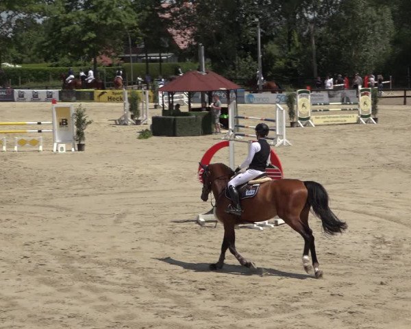 Reitturnier Ochtrup 2023