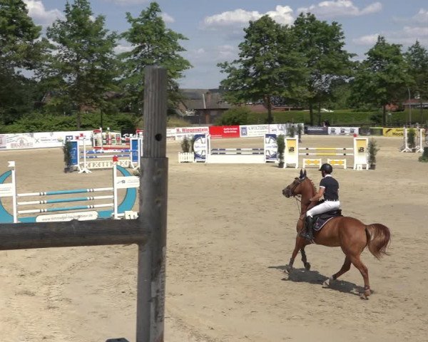 Reitturnier Ochtrup 2023