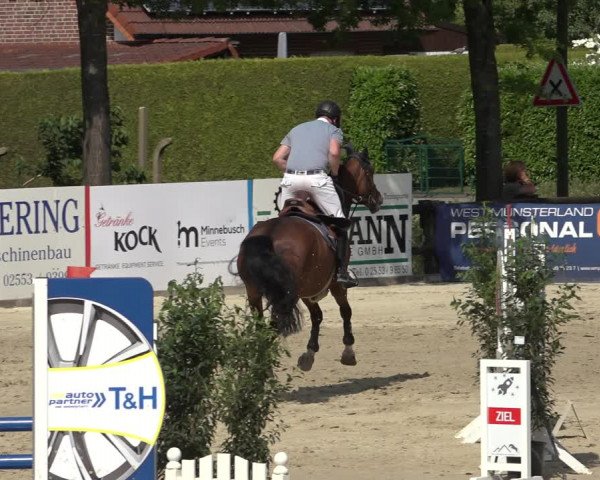 Reitturnier Ochtrup 2023