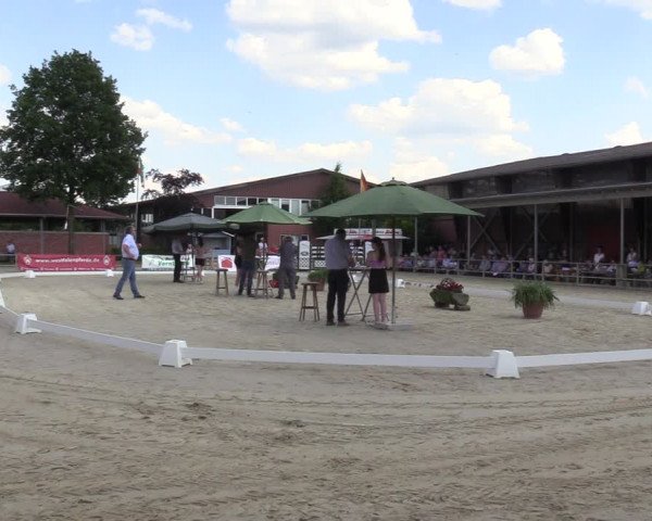 Sichtung zum Horse24-Fohlenchampionat 2023 in Münster-Albachten