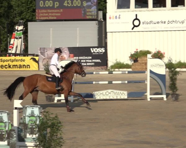 Reitturnier Ochtrup 2023