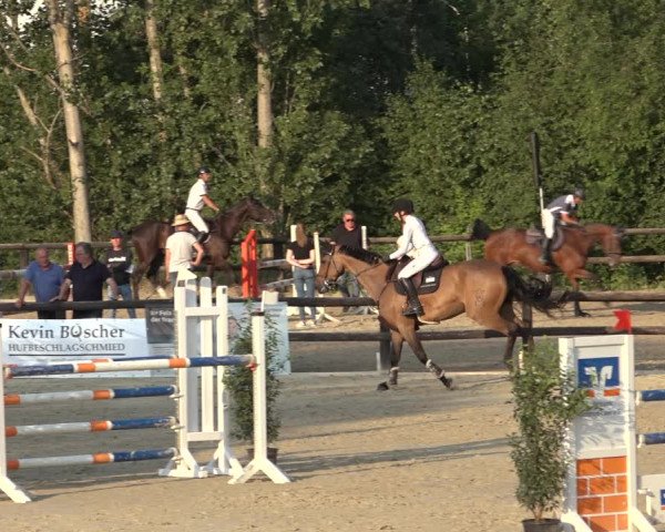 Reitturnier Ochtrup 2023