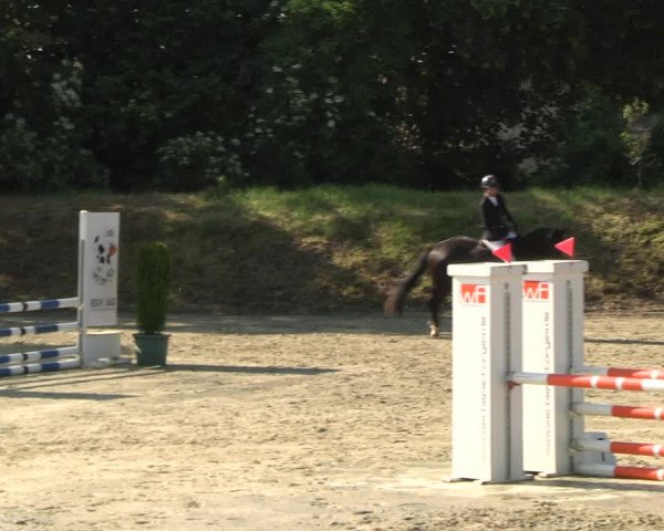 Reitturnier Fröndenberg 2023