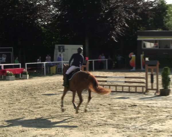 Reitturnier Fröndenberg 2023