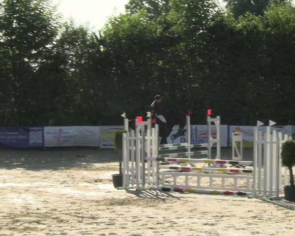 Reitturnier Fröndenberg 2023