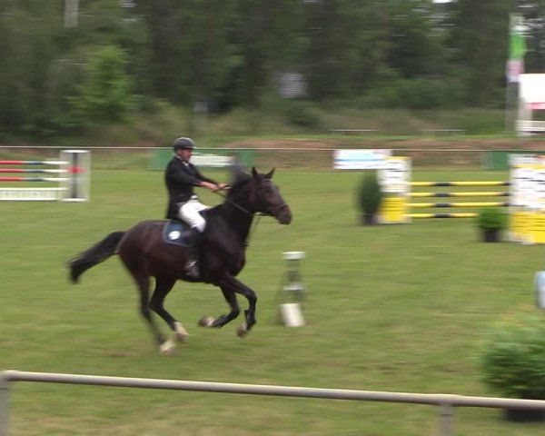 Reitturnier Löbnitz 2023