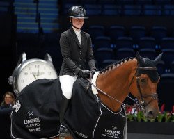 Springpferd Jacobijn van T&l (Belgisches Warmblut, 2009, von Nabab de Rêve)