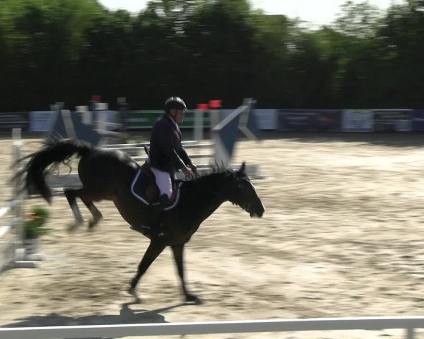 Reitturnier Fröndenberg 2023