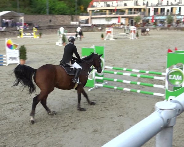 Erntedank Springturnier Nörten-Hardenberg 2021